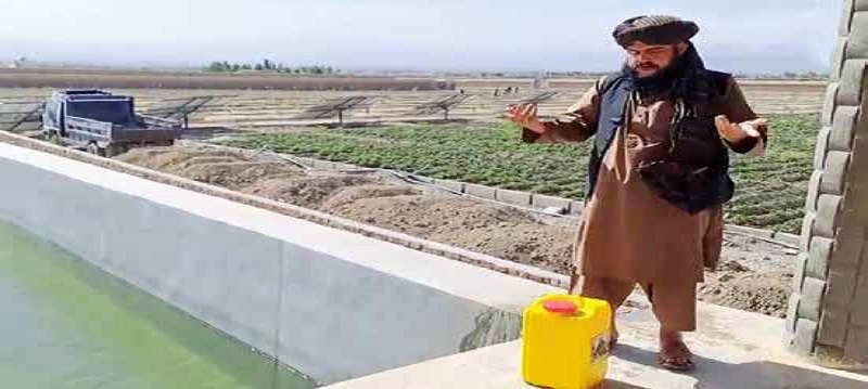 فیلم واکنش تند و عجیب طالبان به سخنان رئیسی