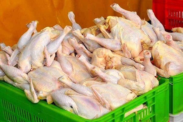 قیمت مصوب مرغ ۷۳ هزارتومان است