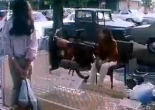 تصاویری خاص از خیابان های تهران در تابستان ۵۸