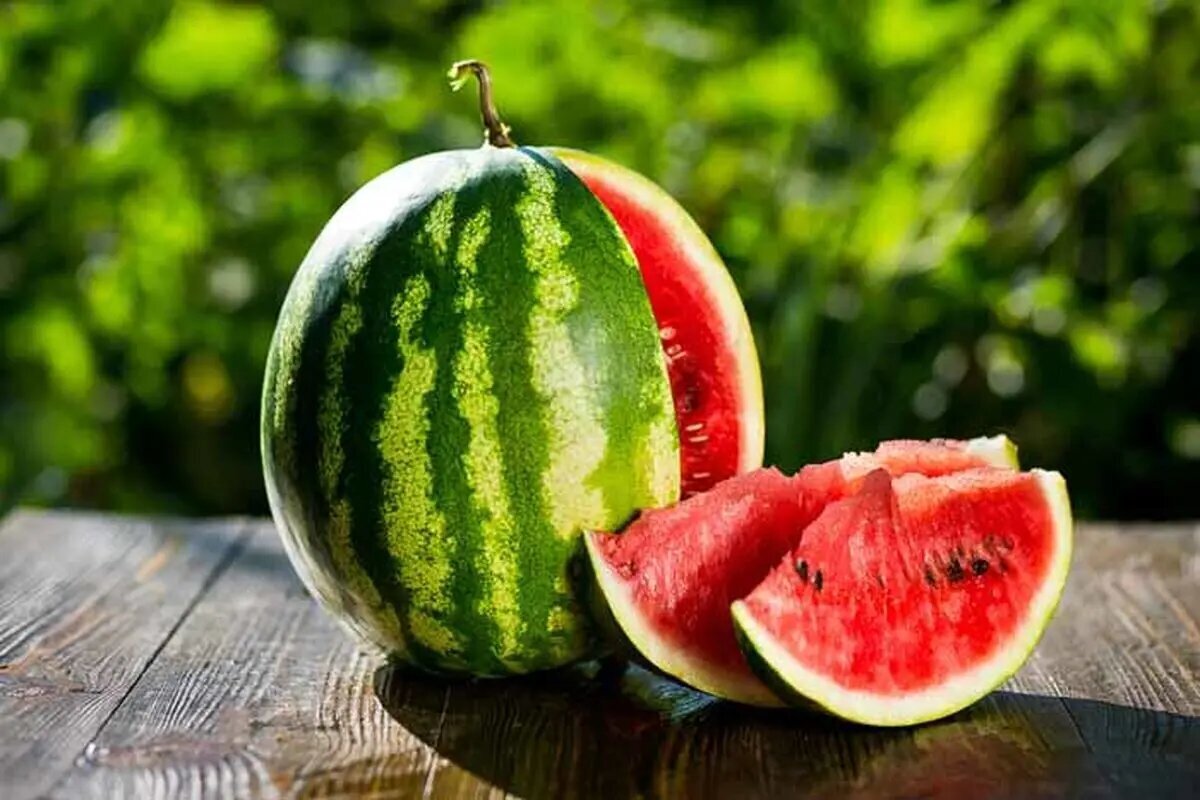 واکنش نماینده مجلس به ادعای روس‌ها درباره هندوانه ایرانی